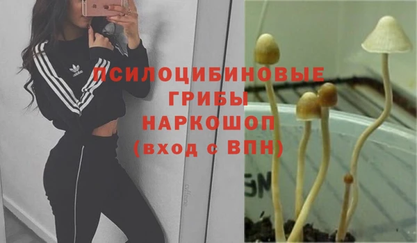 соль курить ск Зеленокумск