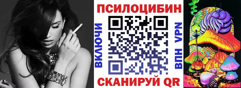 Купить  Хотьково  Галлюциногенные грибы Psilocybine cubensis 