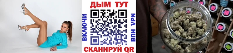 Конопля сатива  Купить  Хотьково 